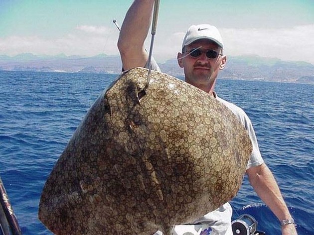 butterfly ray Cavalier & Blue Marlin Sport Fishing Gran Canaria