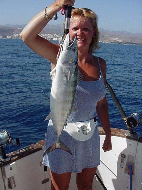 north atlantic bonito Cavalier & Blue Marlin Sport Fishing Gran Canaria