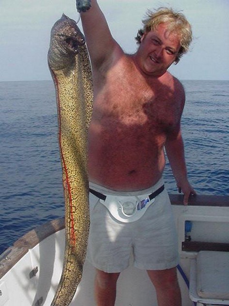 tiger moray Cavalier & Blue Marlin Sport Fishing Gran Canaria