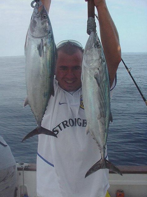 north atlantic bonito Cavalier & Blue Marlin Sport Fishing Gran Canaria