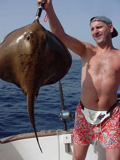 roughtail stingray Cavalier & Blue Marlin Sport Fishing Gran Canaria