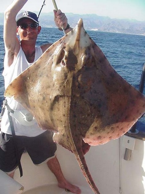 thornback ray Cavalier & Blue Marlin Sport Fishing Gran Canaria