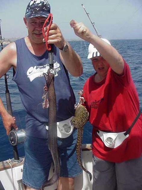 brown moray eel Cavalier & Blue Marlin Sport Fishing Gran Canaria