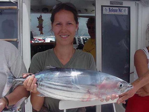 skipjack tuna Cavalier & Blue Marlin Sport Fishing Gran Canaria