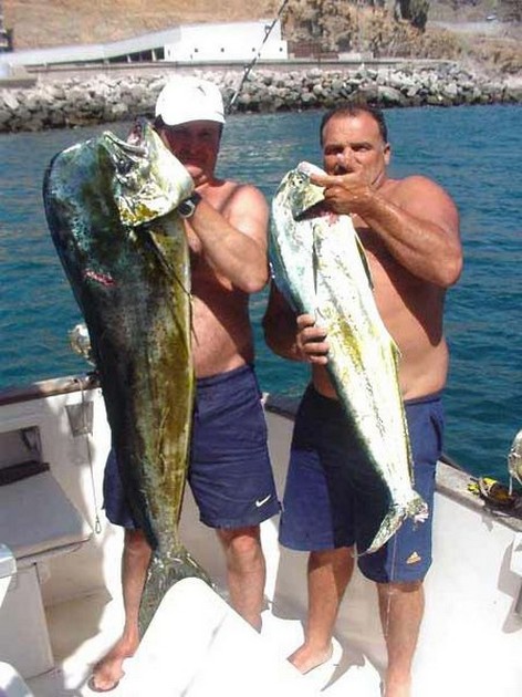 dorado Cavalier & Blue Marlin Sport Fishing Gran Canaria