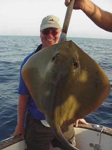 common stingray Cavalier & Blue Marlin Sport Fishing Gran Canaria