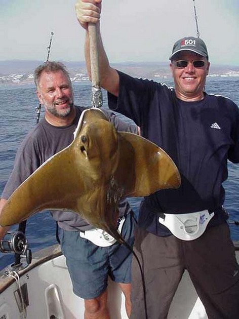 eagle ray Cavalier & Blue Marlin Sport Fishing Gran Canaria