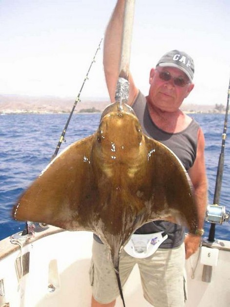 eagle ray Cavalier & Blue Marlin Sport Fishing Gran Canaria