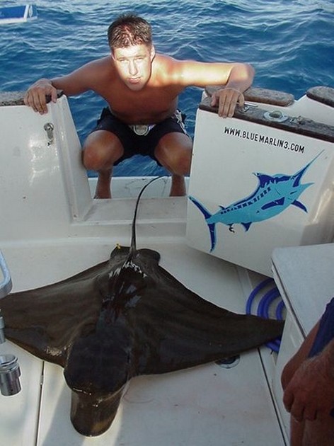 duckbill ray Cavalier & Blue Marlin Sport Fishing Gran Canaria