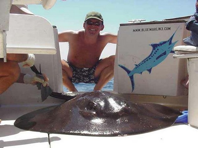 round stingray Cavalier & Blue Marlin Sport Fishing Gran Canaria