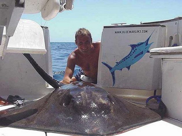 common stingray Cavalier & Blue Marlin Sport Fishing Gran Canaria