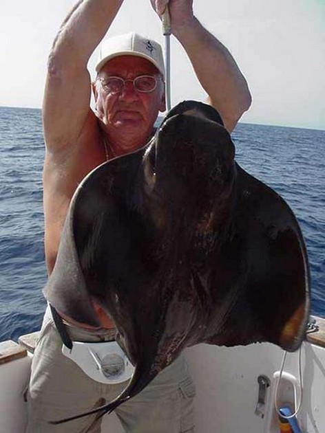 cownose ray Cavalier & Blue Marlin Sport Fishing Gran Canaria