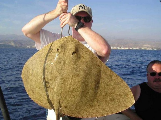 butterfly ray Cavalier & Blue Marlin Sport Fishing Gran Canaria