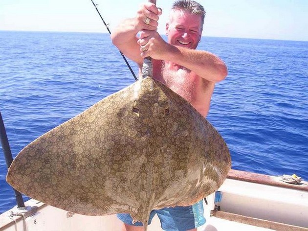 butterfly ray Cavalier & Blue Marlin Sport Fishing Gran Canaria