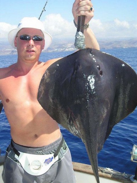black stingray Cavalier & Blue Marlin Sport Fishing Gran Canaria