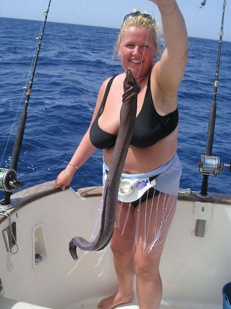 brown moray eel Cavalier & Blue Marlin Sport Fishing Gran Canaria