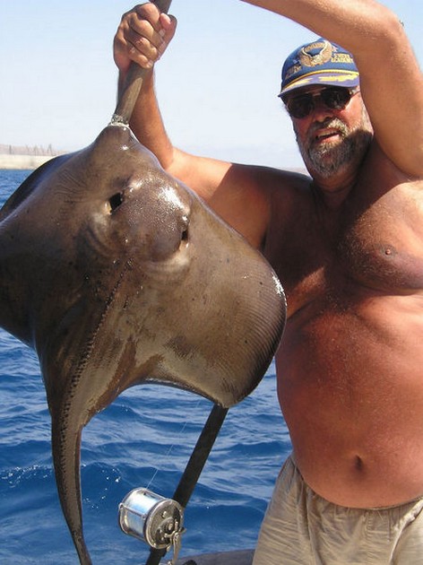 roughtail stingray Cavalier & Blue Marlin Sport Fishing Gran Canaria
