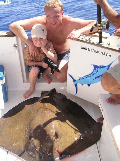 common stingray Cavalier & Blue Marlin Sport Fishing Gran Canaria
