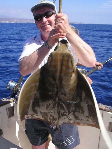 duckbill ray Cavalier & Blue Marlin Sport Fishing Gran Canaria