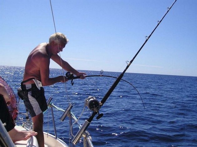 hooked up Cavalier & Blue Marlin Sport Fishing Gran Canaria