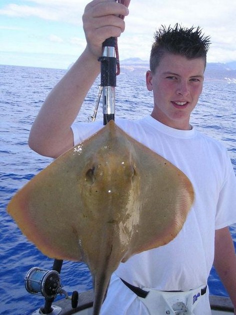 common stingray Cavalier & Blue Marlin Sport Fishing Gran Canaria