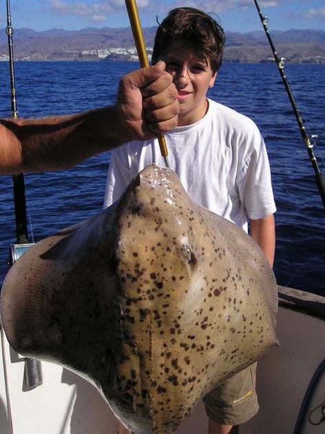 round stingray Cavalier & Blue Marlin Sport Fishing Gran Canaria