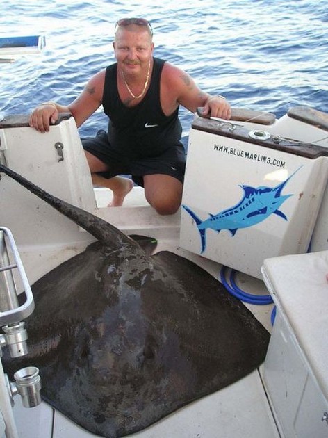common stingray Cavalier & Blue Marlin Sport Fishing Gran Canaria