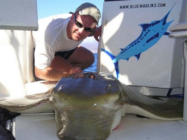 duckbill ray Cavalier & Blue Marlin Sport Fishing Gran Canaria