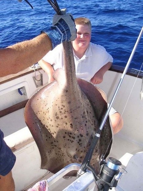 round stingray Cavalier & Blue Marlin Sport Fishing Gran Canaria