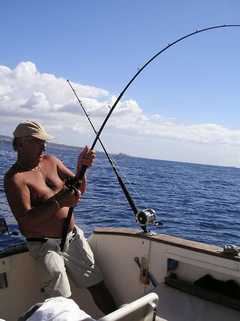 hooked up Cavalier & Blue Marlin Sport Fishing Gran Canaria