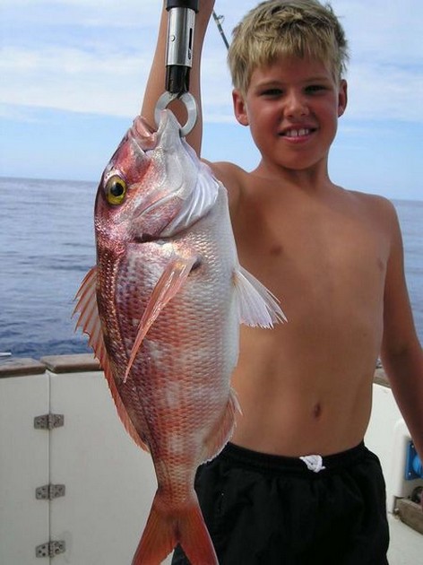 red snapper Cavalier & Blue Marlin Sport Fishing Gran Canaria