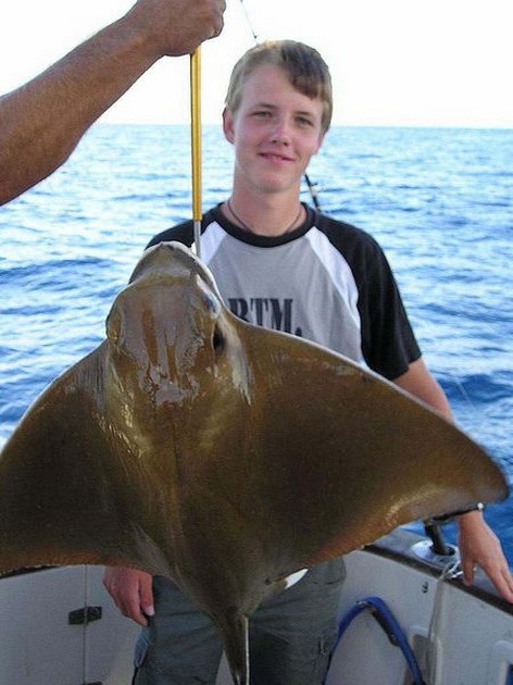 eagle ray Cavalier & Blue Marlin Sport Fishing Gran Canaria