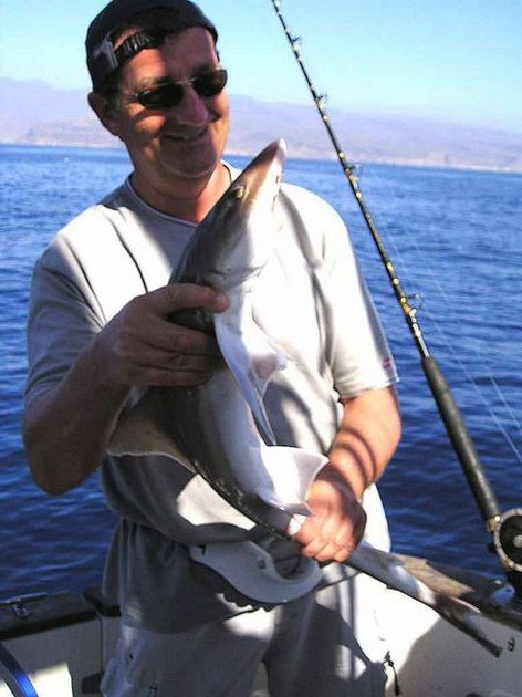 tope Cavalier & Blue Marlin Sport Fishing Gran Canaria