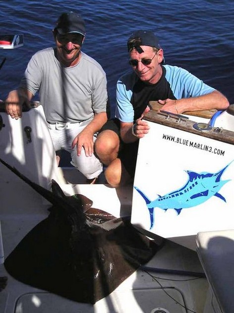 common stingray Cavalier & Blue Marlin Sport Fishing Gran Canaria