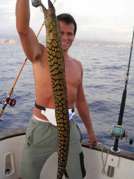 tiger moray Cavalier & Blue Marlin Sport Fishing Gran Canaria