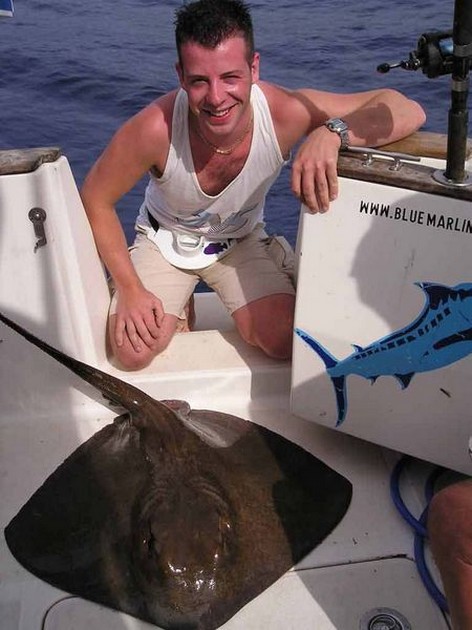 common stingray Cavalier & Blue Marlin Sport Fishing Gran Canaria