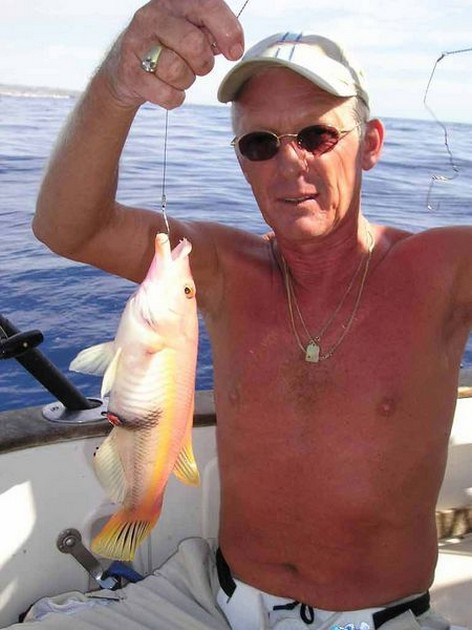 wrasse Cavalier & Blue Marlin Sport Fishing Gran Canaria