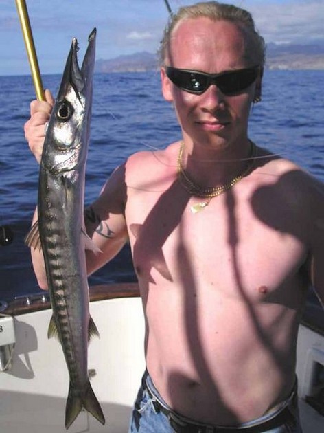 baracuda Cavalier & Blue Marlin Sport Fishing Gran Canaria