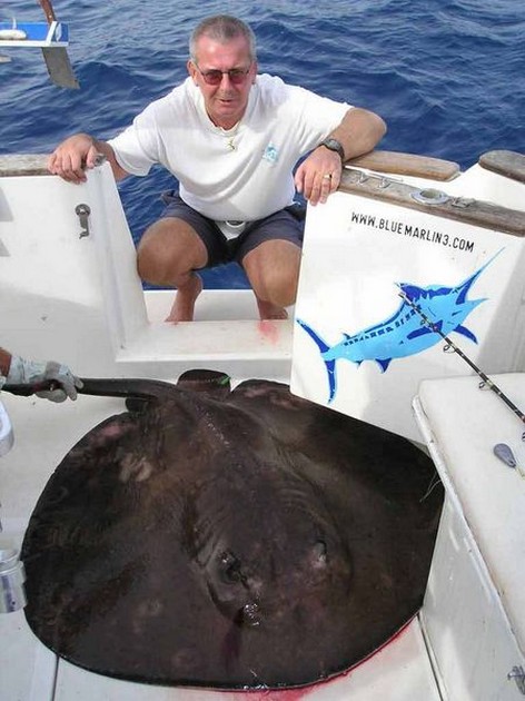 round stingray Cavalier & Blue Marlin Sport Fishing Gran Canaria