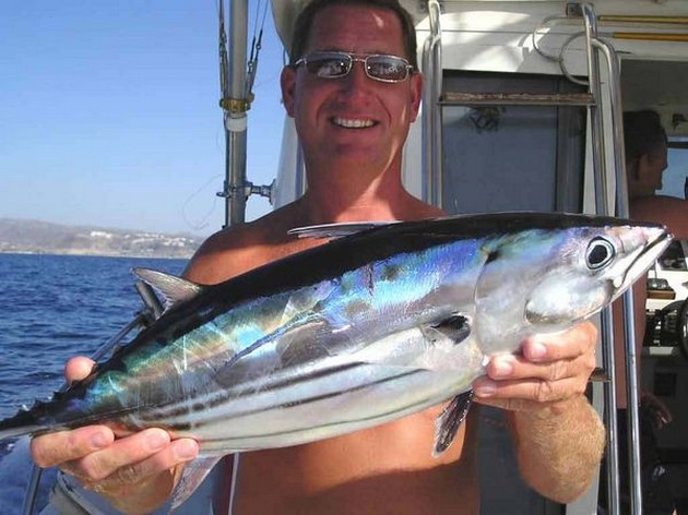 skipjack tuna Cavalier & Blue Marlin Sport Fishing Gran Canaria