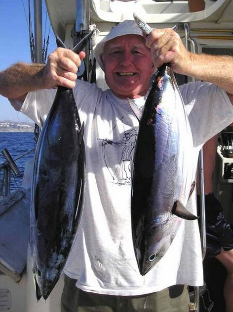 skipjack tuna Cavalier & Blue Marlin Sport Fishing Gran Canaria