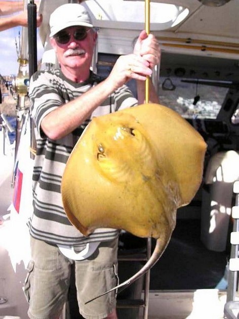 common stingray Cavalier & Blue Marlin Sport Fishing Gran Canaria