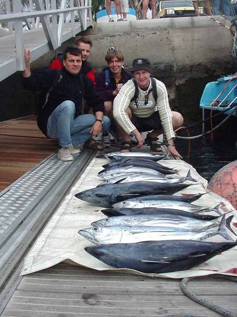 skipjack tuna Cavalier & Blue Marlin Sport Fishing Gran Canaria