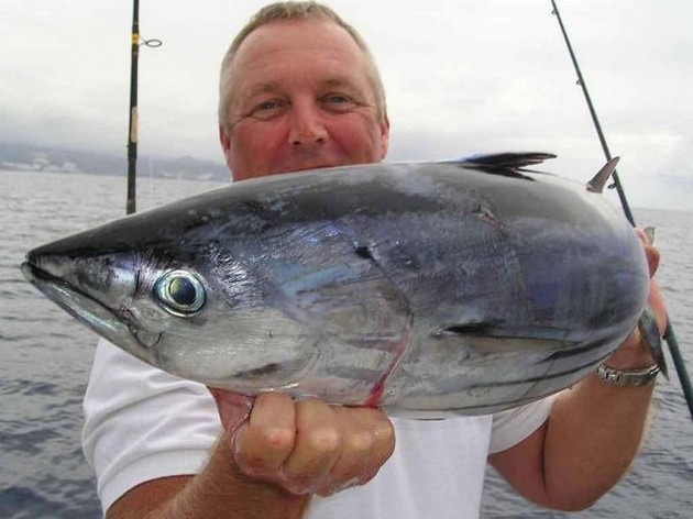 skipjack tuna Cavalier & Blue Marlin Sport Fishing Gran Canaria