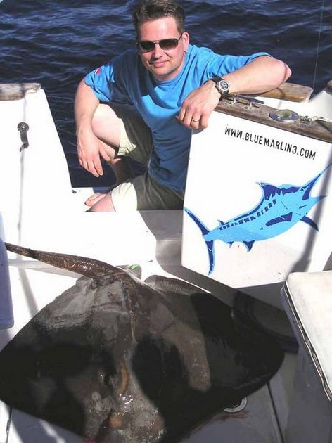 common stingray Cavalier & Blue Marlin Sport Fishing Gran Canaria