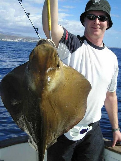 eagle ray Cavalier & Blue Marlin Sport Fishing Gran Canaria