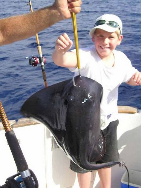 black stingray Cavalier & Blue Marlin Sport Fishing Gran Canaria