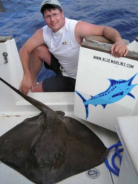 common stingray Cavalier & Blue Marlin Sport Fishing Gran Canaria