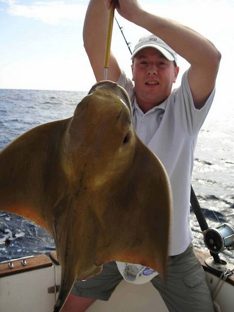 eagle ray Cavalier & Blue Marlin Sport Fishing Gran Canaria