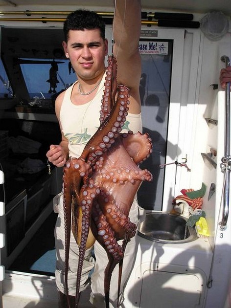 octopus Cavalier & Blue Marlin Sport Fishing Gran Canaria